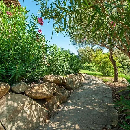 Appartamento 1 Bedroom Amazing In *